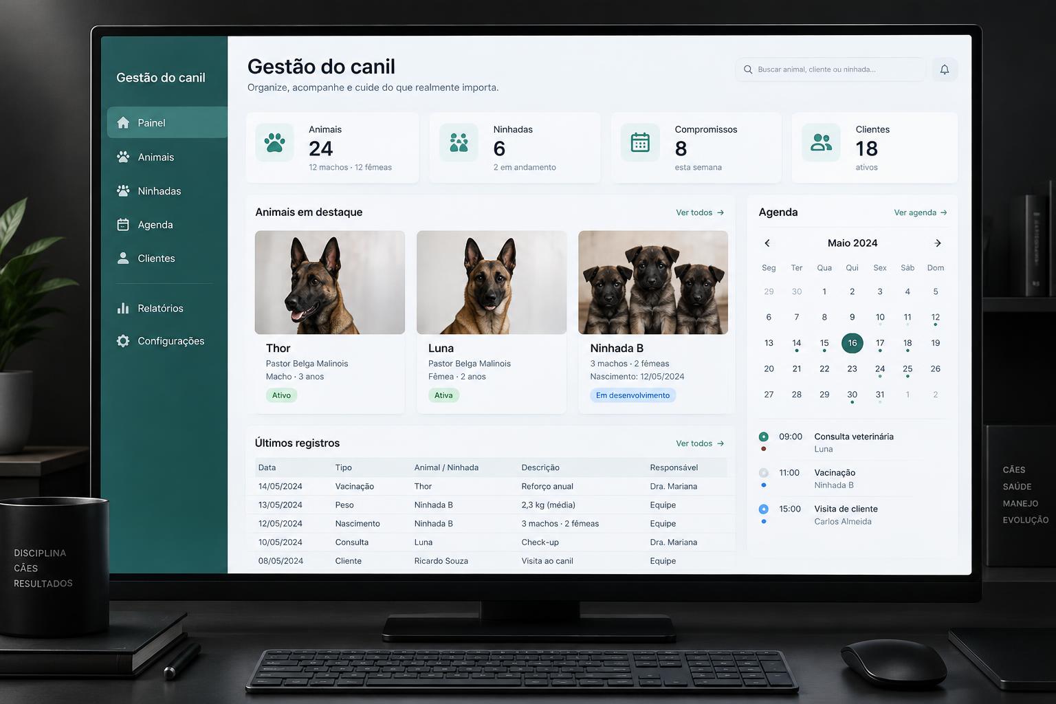 Visualização ilustrativa — não é uma captura do sistema